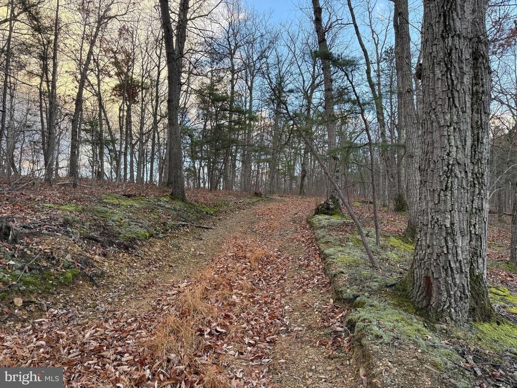 N FREDERICK PIKE, Winchester, VA 22603