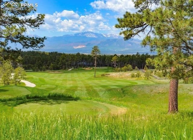 2180 Rocking Horse Court, Colorado Springs, CO 80921