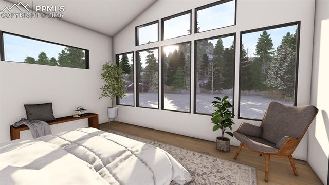 1405 Red Haven Place, Woodland Park, CO 80863