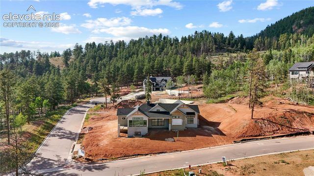 1405 Red Haven Place, Woodland Park, CO 80863