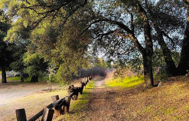 29433 Cacti Dr, Campo, CA 91906