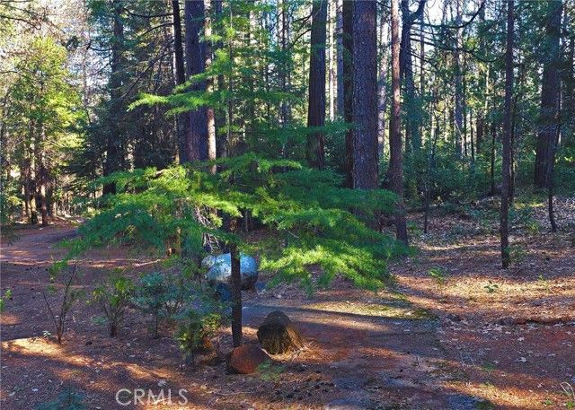 38 Weiss Hill Road, Oroville, CA 95966