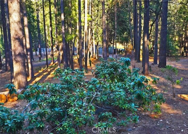 38 Weiss Hill Road, Oroville, CA 95966