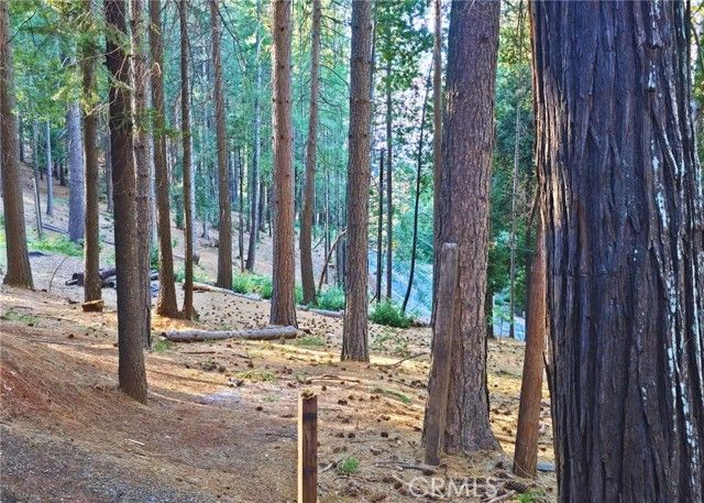 38 Weiss Hill Road, Oroville, CA 95966