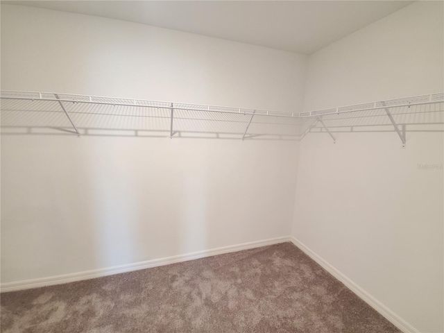 10353 SCARLET SKIMMER DRIVE, Riverview, FL 33578