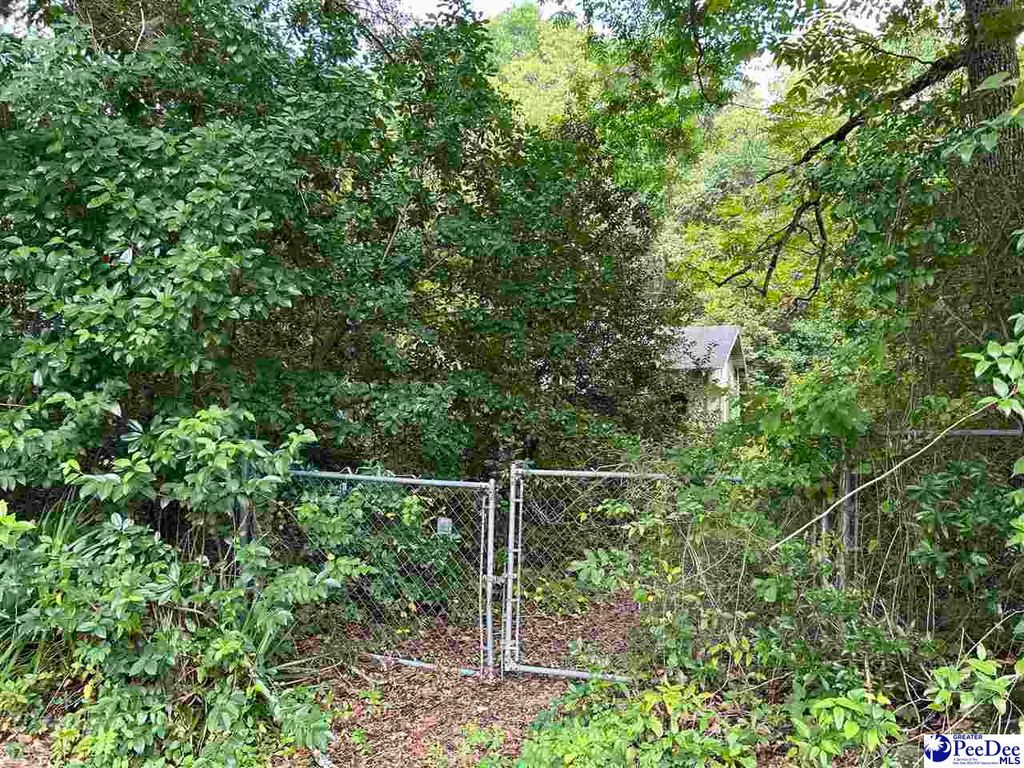 110 Heard St, Florence, SC 29506