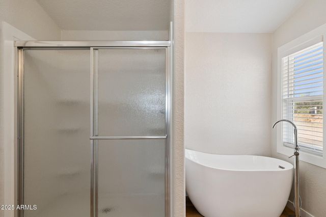 53531 W BUCK Drive, Maricopa, AZ 85139