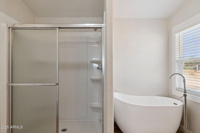 53531 W BUCK Drive, Maricopa, AZ 85139