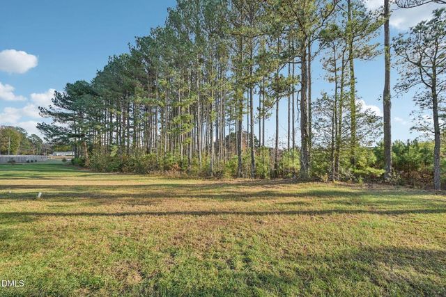 119 Fescue Trail, Wendell, NC 27591