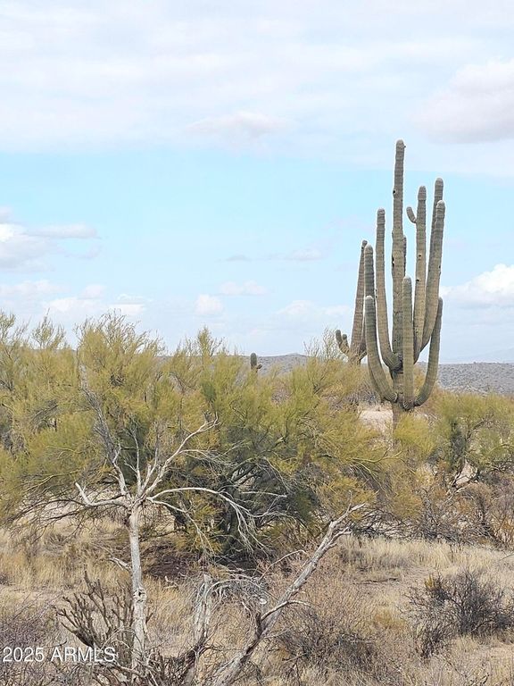 0 E Hawknest Road -, Scottsdale, AZ 85262 — photo 4