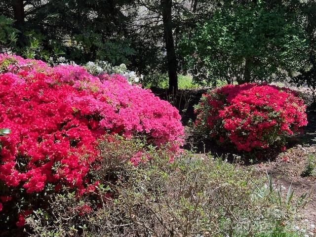 330 Dawnbrook Drive, Flat Rock, NC 28731