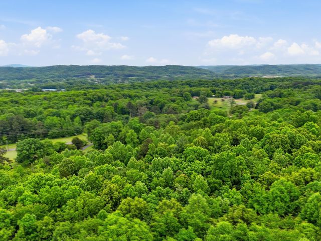 1301 River Road, Decatur, TN 37322