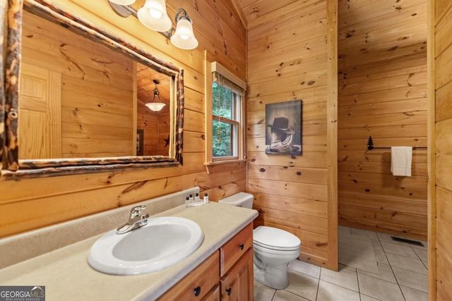 469 Mountain High Drive, Mineral Bluff, GA 30559