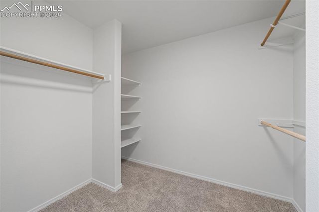 886 Daffodil Street, Fountain, CO 80817