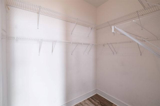 2039 COBBLEFIELD CIRCLE, Apopka, FL 32703