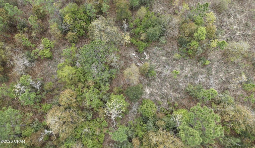 000 Darlington Drive, Chipley, FL 32428