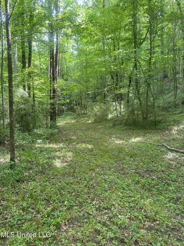 768 Lake Boulevard, Vicksburg, MS 39180