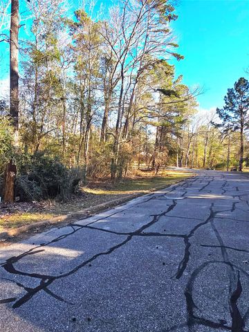 TBD Burmuda Dune Drive, Huntsville, TX 77320