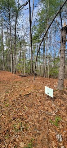00 Headwaters Drive, Murphy, NC 28906