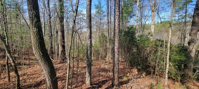00 Headwaters Drive, Murphy, NC 28906
