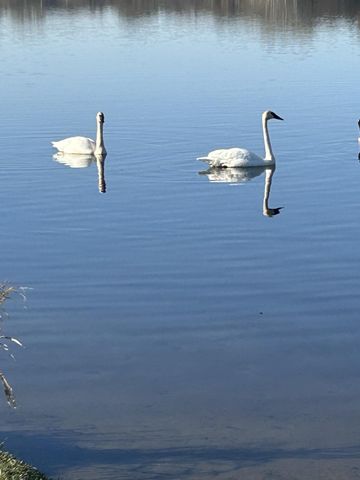 2065 Long Lake Road, New Brighton, MN 55112