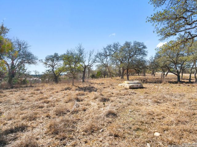 LOT 116 Majestic Hills, Blanco, TX 78606