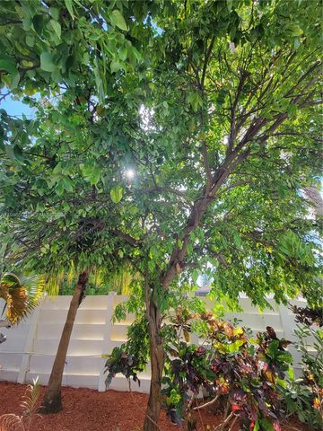 4710 Grant St, Hollywood, FL 33021