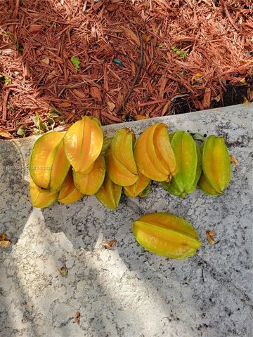 4710 Grant St, Hollywood, FL 33021