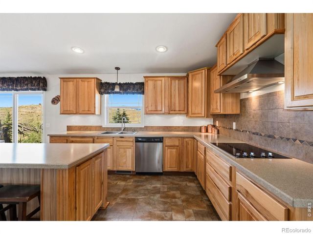 572 Horse Mountain Drive, Livermore, CO 80536
