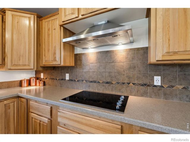 572 Horse Mountain Drive, Livermore, CO 80536
