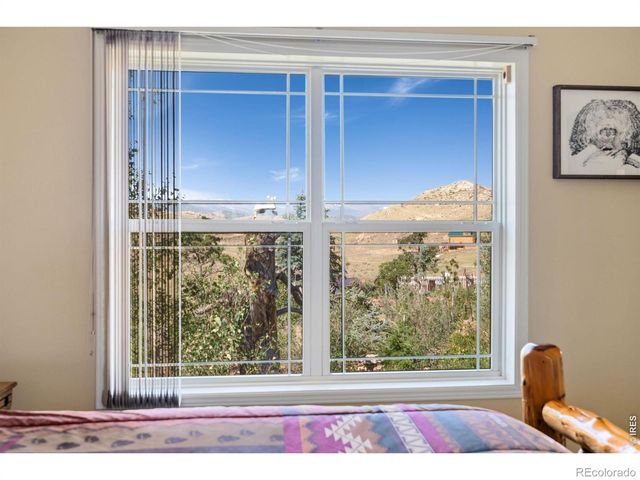 572 Horse Mountain Drive, Livermore, CO 80536