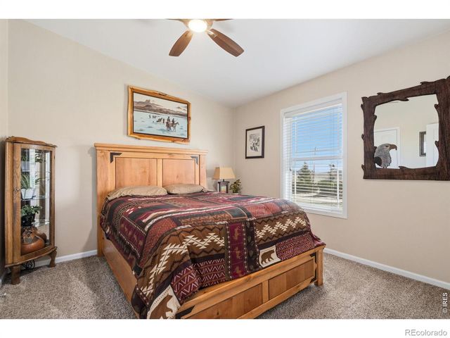 572 Horse Mountain Drive, Livermore, CO 80536