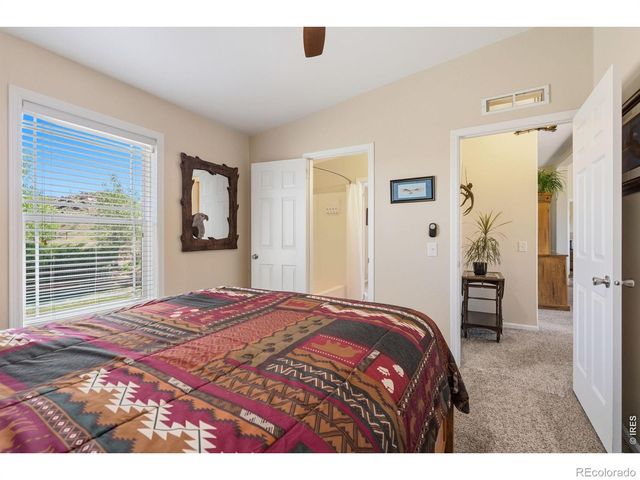 572 Horse Mountain Drive, Livermore, CO 80536