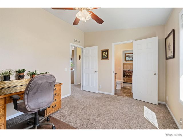 572 Horse Mountain Drive, Livermore, CO 80536