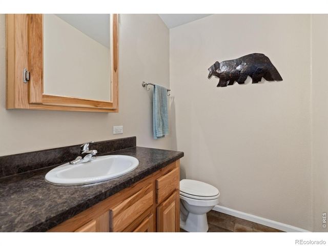 572 Horse Mountain Drive, Livermore, CO 80536