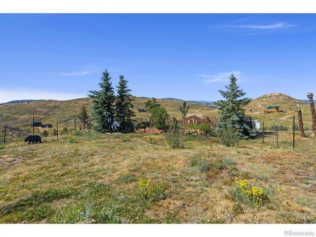 572 Horse Mountain Drive, Livermore, CO 80536