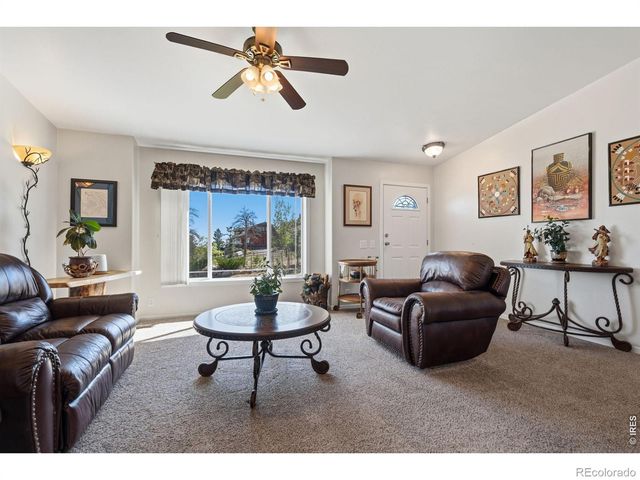 572 Horse Mountain Drive, Livermore, CO 80536