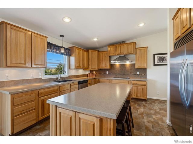 572 Horse Mountain Drive, Livermore, CO 80536