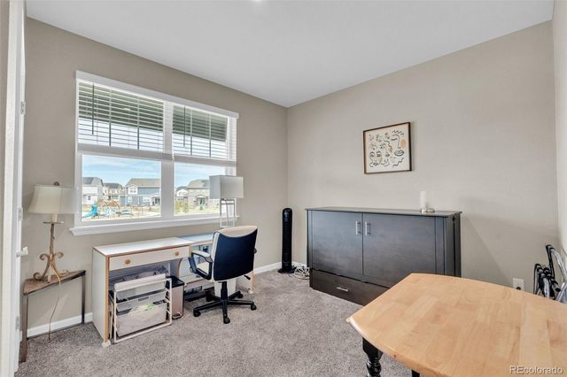 13998 Shasta Daisy Street, Parker, CO 80134