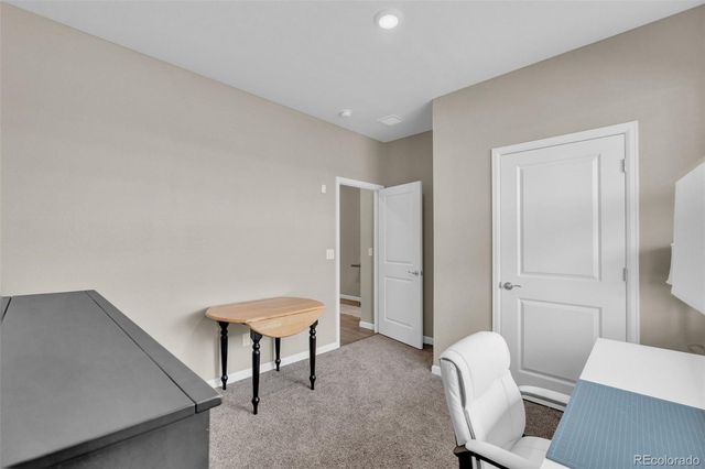 13998 Shasta Daisy Street, Parker, CO 80134