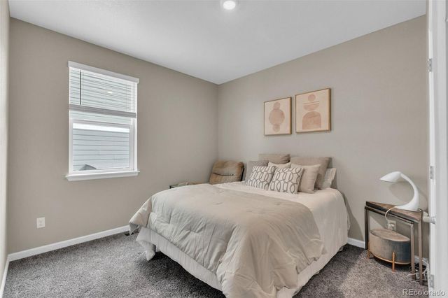 13998 Shasta Daisy Street, Parker, CO 80134