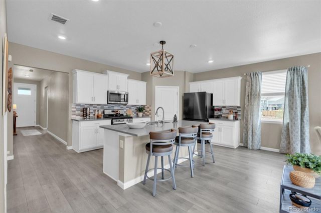 13998 Shasta Daisy Street, Parker, CO 80134