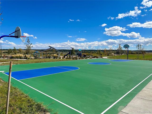 13998 Shasta Daisy Street, Parker, CO 80134