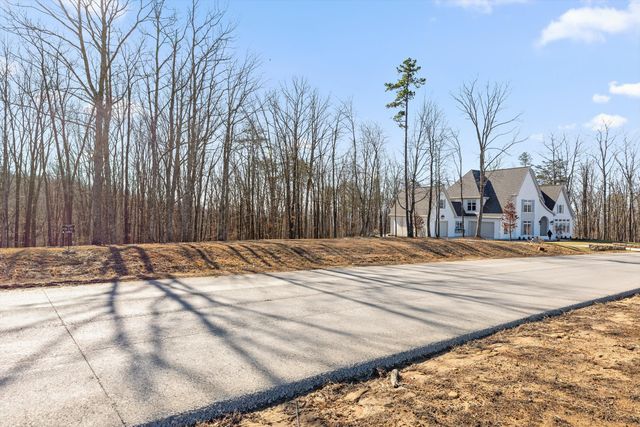 3037 River Gorge Drive Homesite 973, Chattanooga, TN 37419