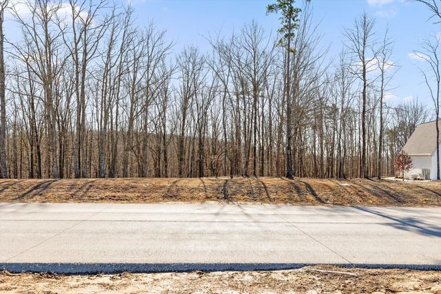 3037 River Gorge Drive Homesite 973, Chattanooga, TN 37419