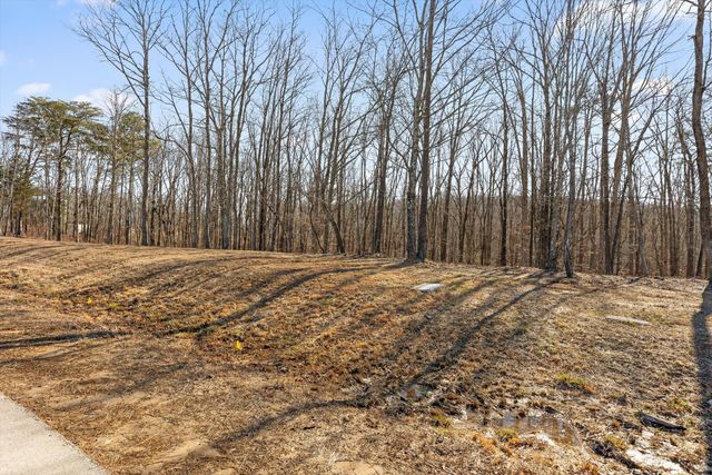 3037 River Gorge Drive Homesite 973, Chattanooga, TN 37419