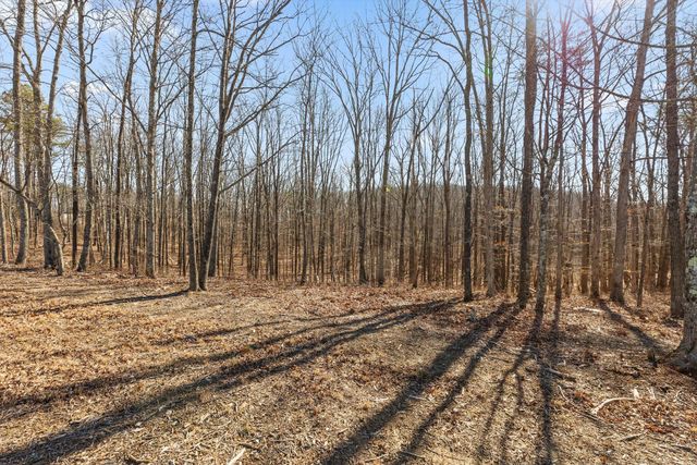 3037 River Gorge Drive Homesite 973, Chattanooga, TN 37419