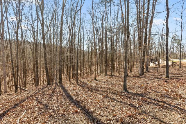 3037 River Gorge Drive Homesite 973, Chattanooga, TN 37419