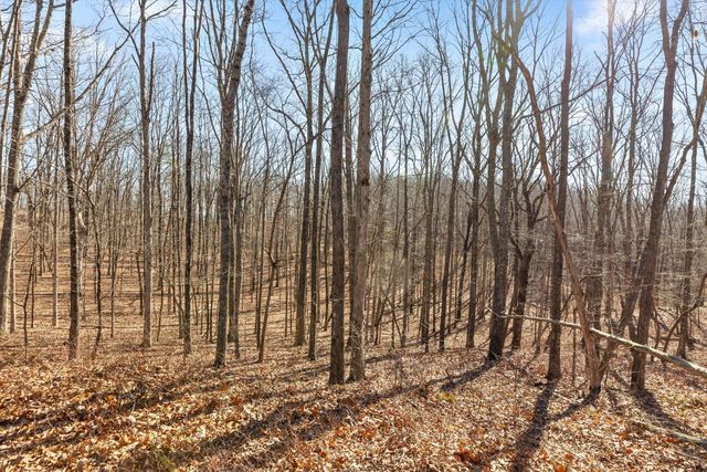 3037 River Gorge Drive Homesite 973, Chattanooga, TN 37419