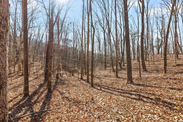 3037 River Gorge Drive Homesite 973, Chattanooga, TN 37419